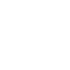 Security Icon